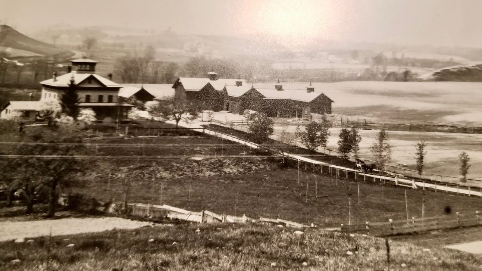 2121 Walker Road, Palmyra (2)